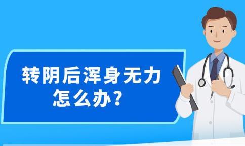 2025新澳精准正版免費資料与警惕虚假宣传-全面释义、解释与落实